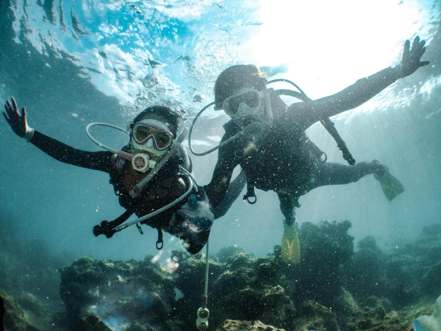 Dive into Koh Tao: Unforgettable 2-Dive Day Trip with Expert Guides 