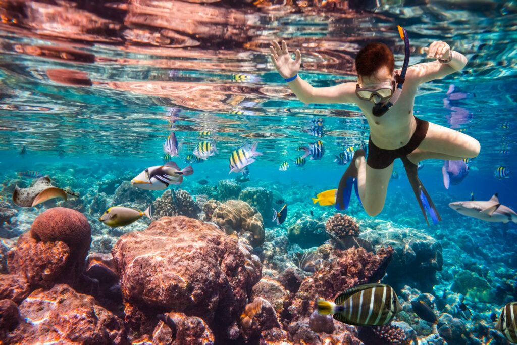 Boy Snorkeling on the coral reef at Koh Tao, Thailand